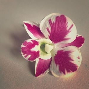 ✨ SOLD ✨ hair accessory flown in from Hawaii! 🌺😄